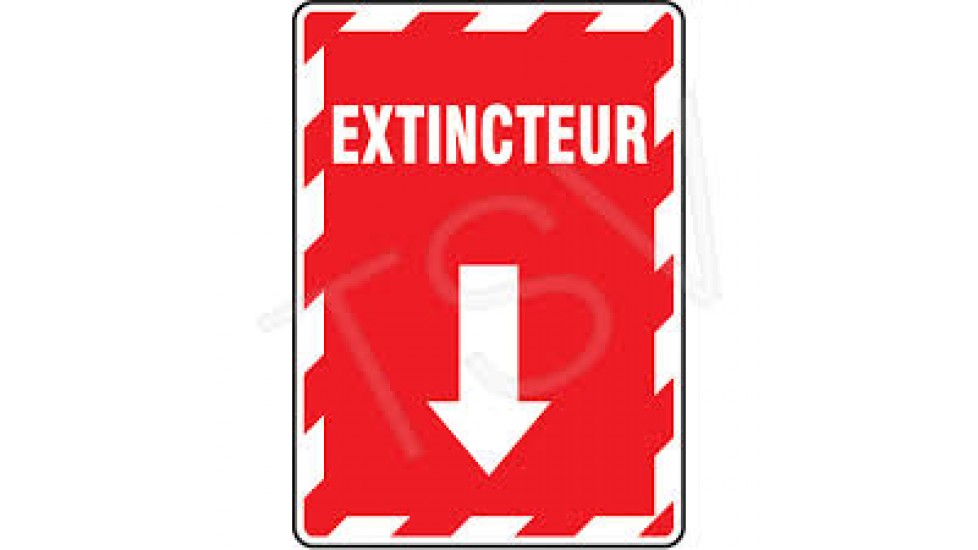 Enseigne avec flèche «Extincteur», 10" x 7", Vinyle, Français avec pictogramme Chacun